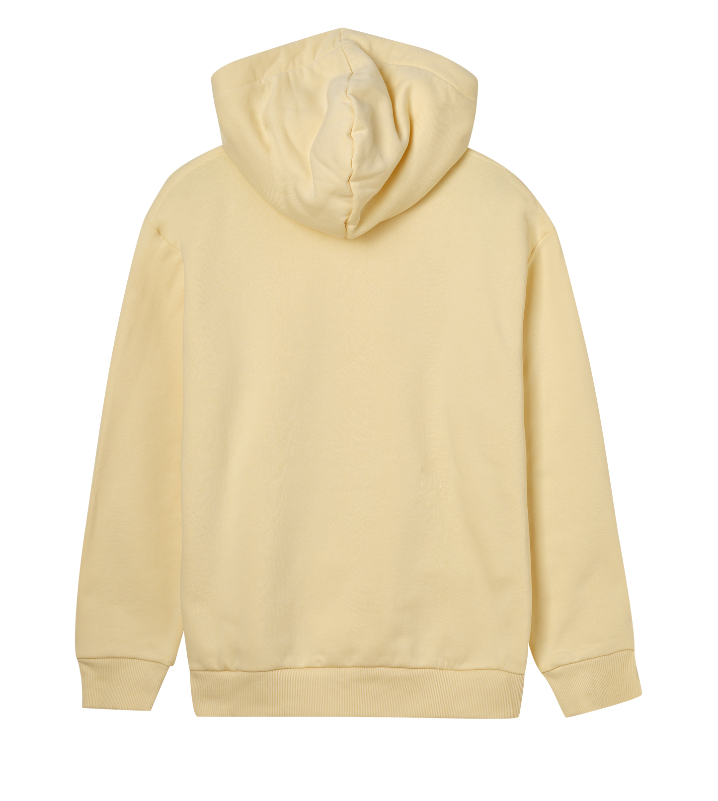 Ladies Hoodie